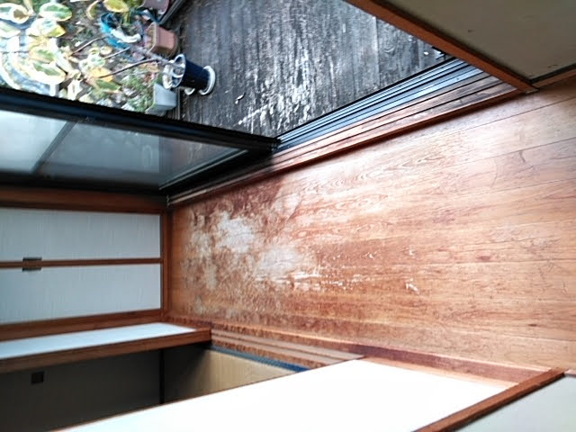 Before画像