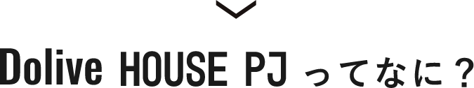 ドライブホームPJってなに？