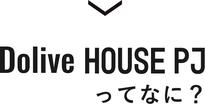 ドライブホームPJってなに？